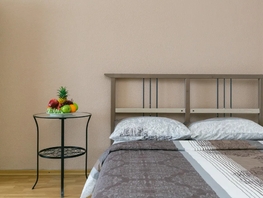Снять однокомнатную квартиру Карла Маркса пр-кт, 39  м&sup2;, 3025 рублей