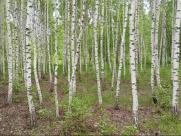 Продается Участок ИЖС Весенняя ул, 12  сот., 2000000 рублей