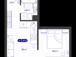 Продается 1-комнатная квартира ЖК Баланс, 4 очередь, 30.49  м&sup2;, 6530000 рублей