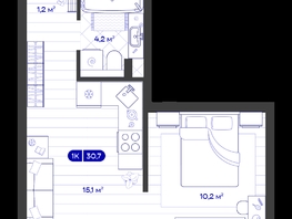 Продается 1-комнатная квартира ЖК Баланс, 4 очередь, 30.72  м&sup2;, 6180000 рублей