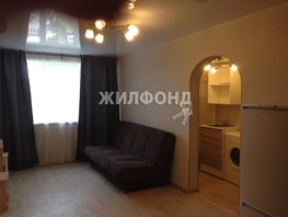 Продается 1-комнатная квартира Красный пр-кт, 23.5 м², 2950000 рублей