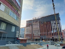 Сдается Офис Галущака ул, 83.3  м², 79000 рублей