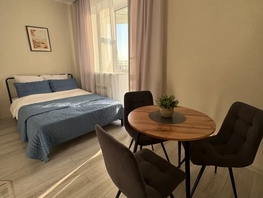 Снять однокомнатную квартиру Мишина ул, 27  м&sup2;, 2500 рублей