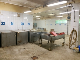 Производственное, 2400 м², 1 этаж, кирпичный