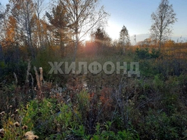 Продается Новая ул, 25 сот., 900000 рублей