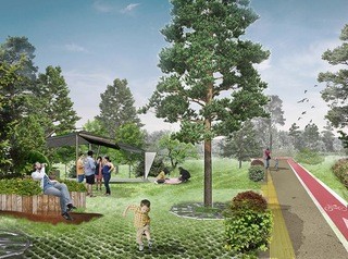 К благоустройству Заельцовского парка приступят в 2021 году